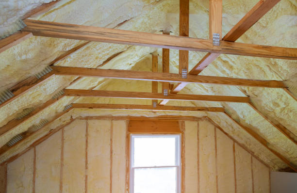 Best Specialized Insulation Services in Centerville, SC