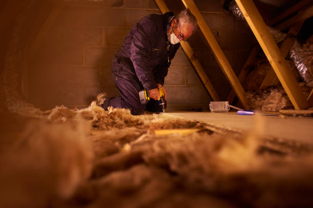 Best Eco-Friendly Insulation in Centerville, SC
